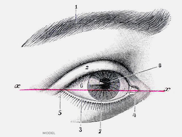 stock image of graphical view of reconstructive surgery