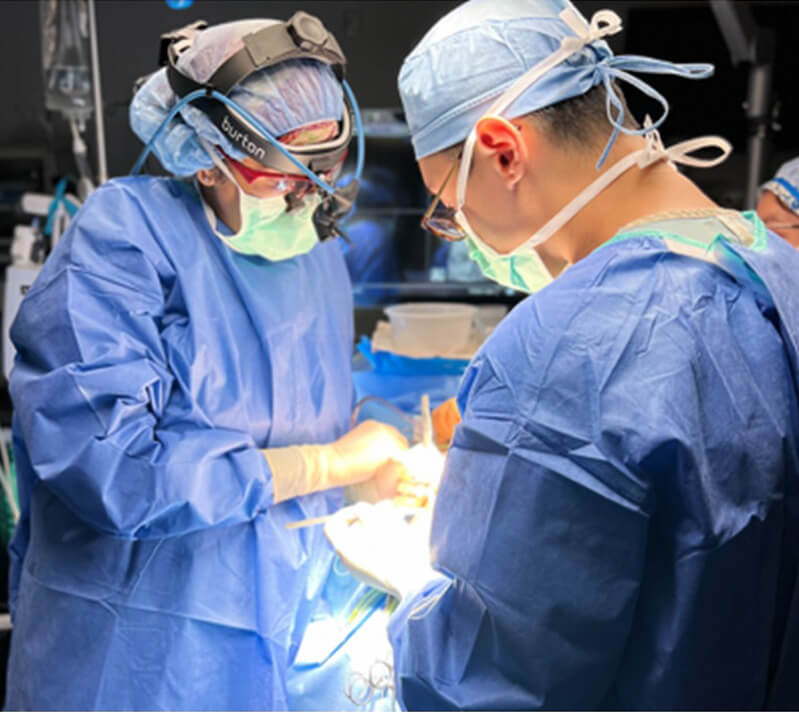 stock image of doctors doing surgery in the operation theater