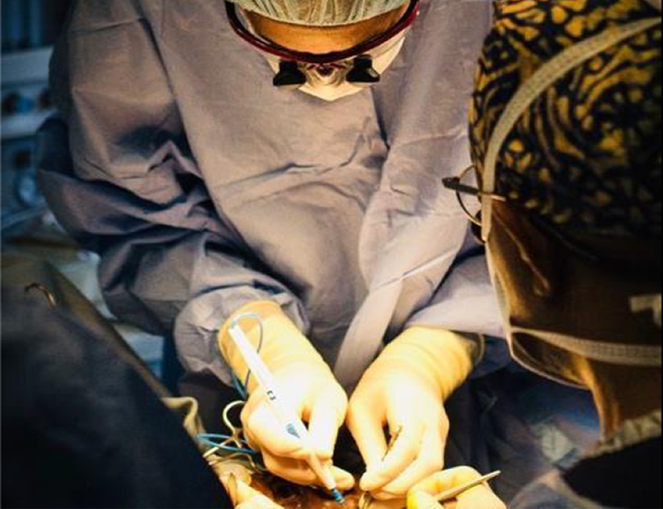 stock image of doctors in operation theatre