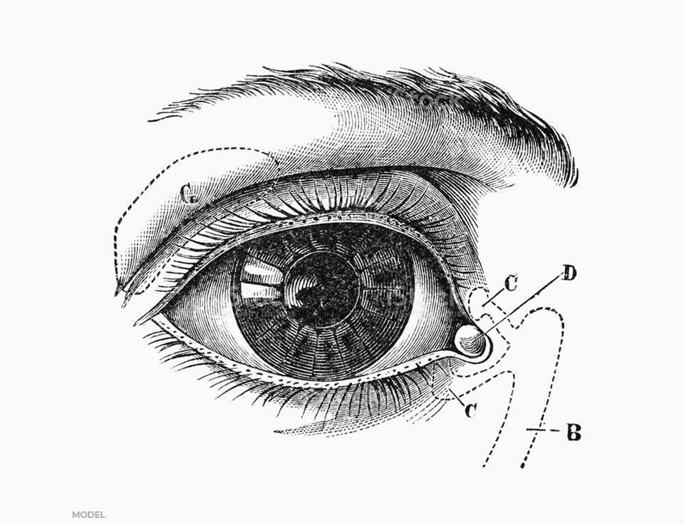 stock image of diagrammatic view of eye